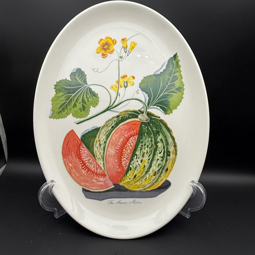 Vintage Portmeirion Pomona Amicua Melon 15" Oval Serving Platter Large Bakeware